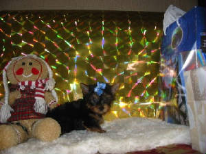 picture084.jpg
