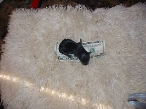 picture092.jpg